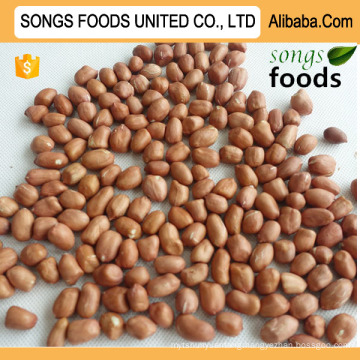 New Crop Shandong Peanut In China Market